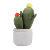 Kawaii knuffel plantje cactus naturel