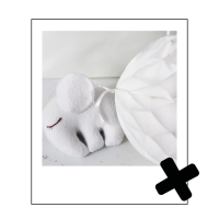 Piepspeeltje olifant fuchsia