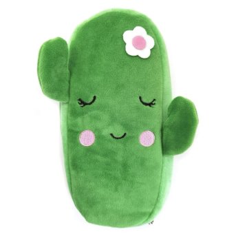 Etui fluffy cactus