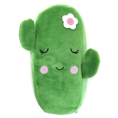 Etui fluffy cactus